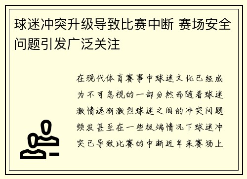 球迷冲突升级导致比赛中断 赛场安全问题引发广泛关注